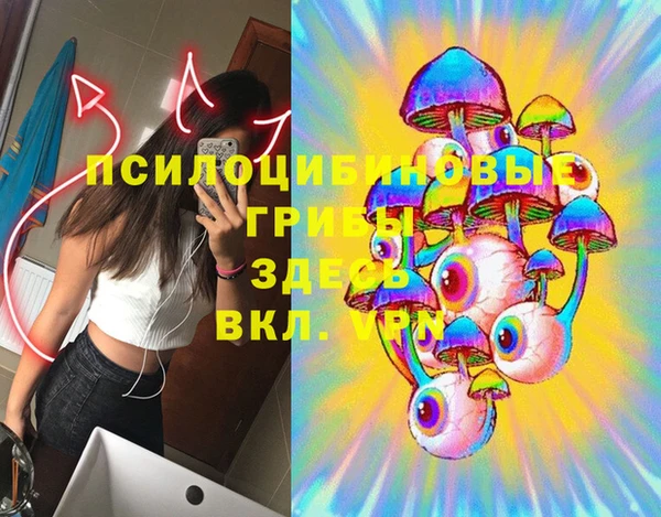 круглые Абаза