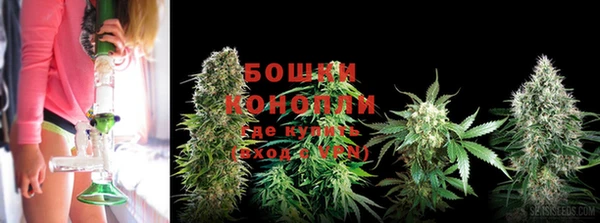 круглые Абаза